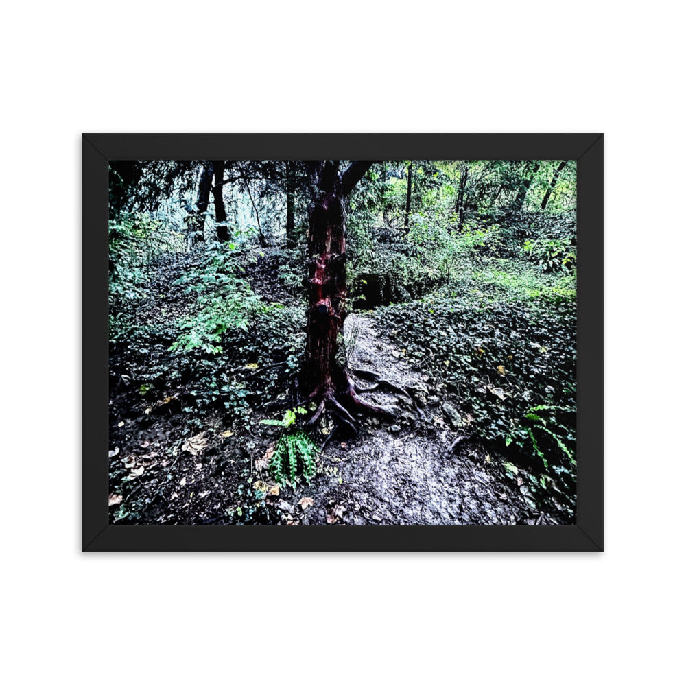 Framed Tree in French Forest