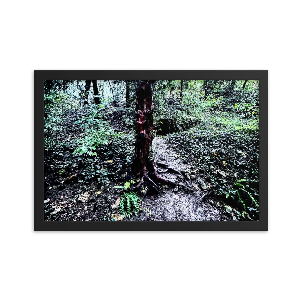 Framed Tree in French Forest