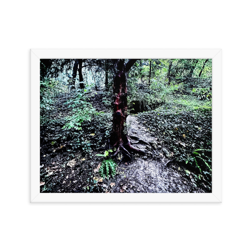 Framed Tree in French Forest