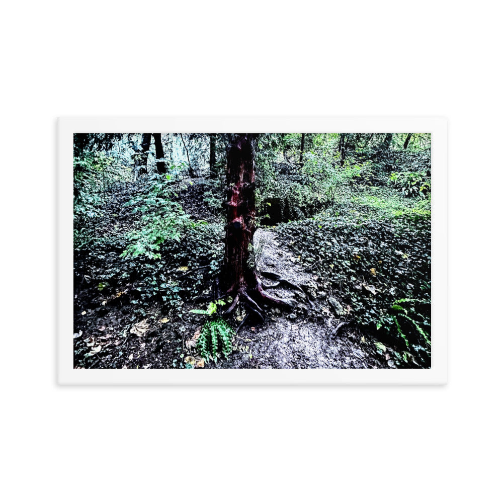 Framed Tree in French Forest